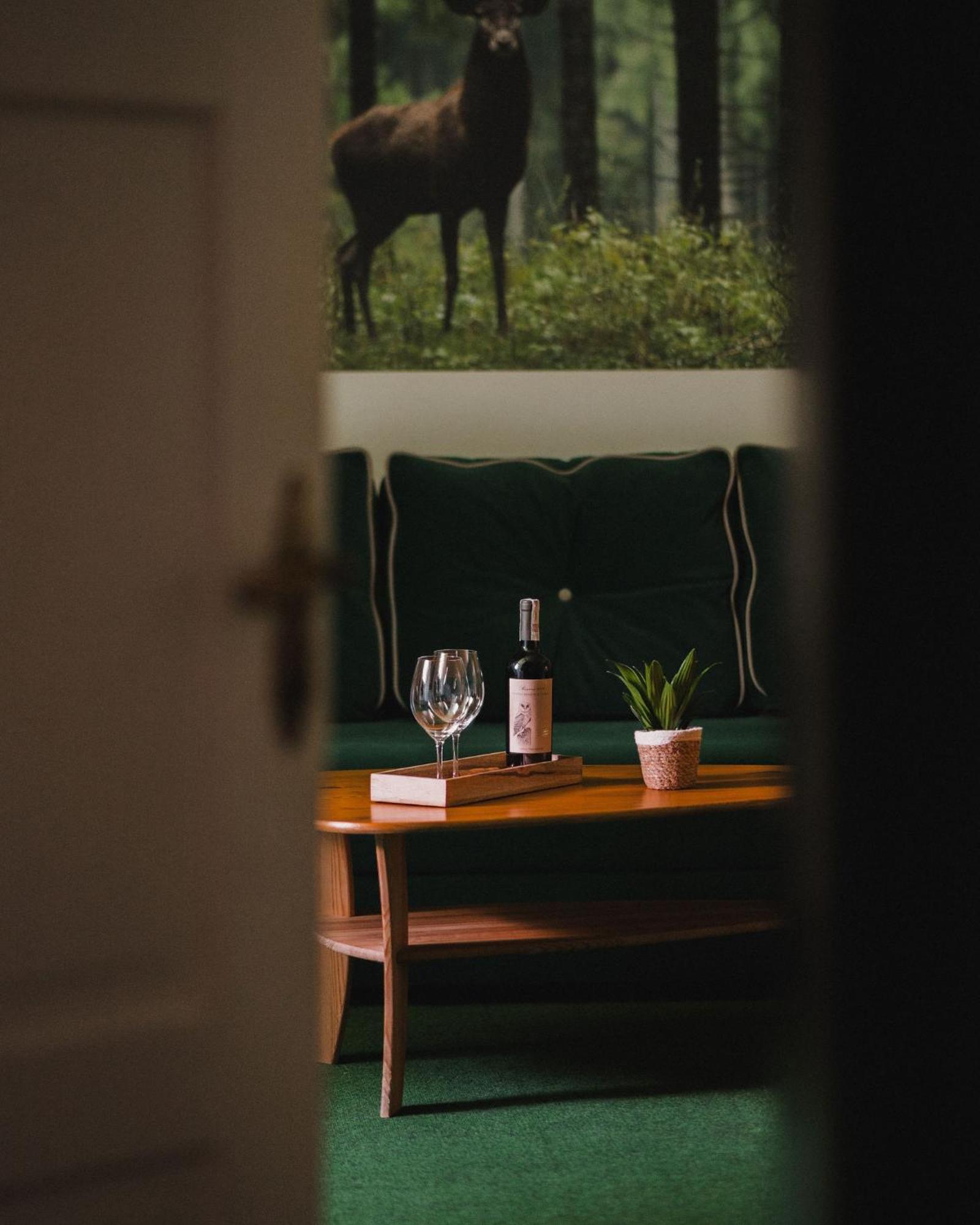 Lesny Dwor W Gorach Sowich Hotell Woliborz Exteriör bild